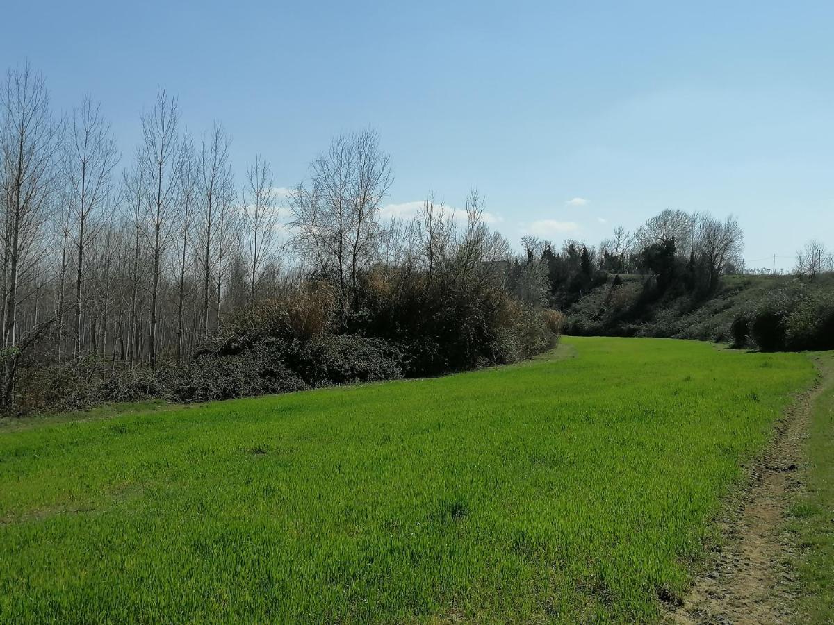 Az.Agricola Agriturismo La Locanda Di Lann Apartman Fucecchio Kültér fotó
