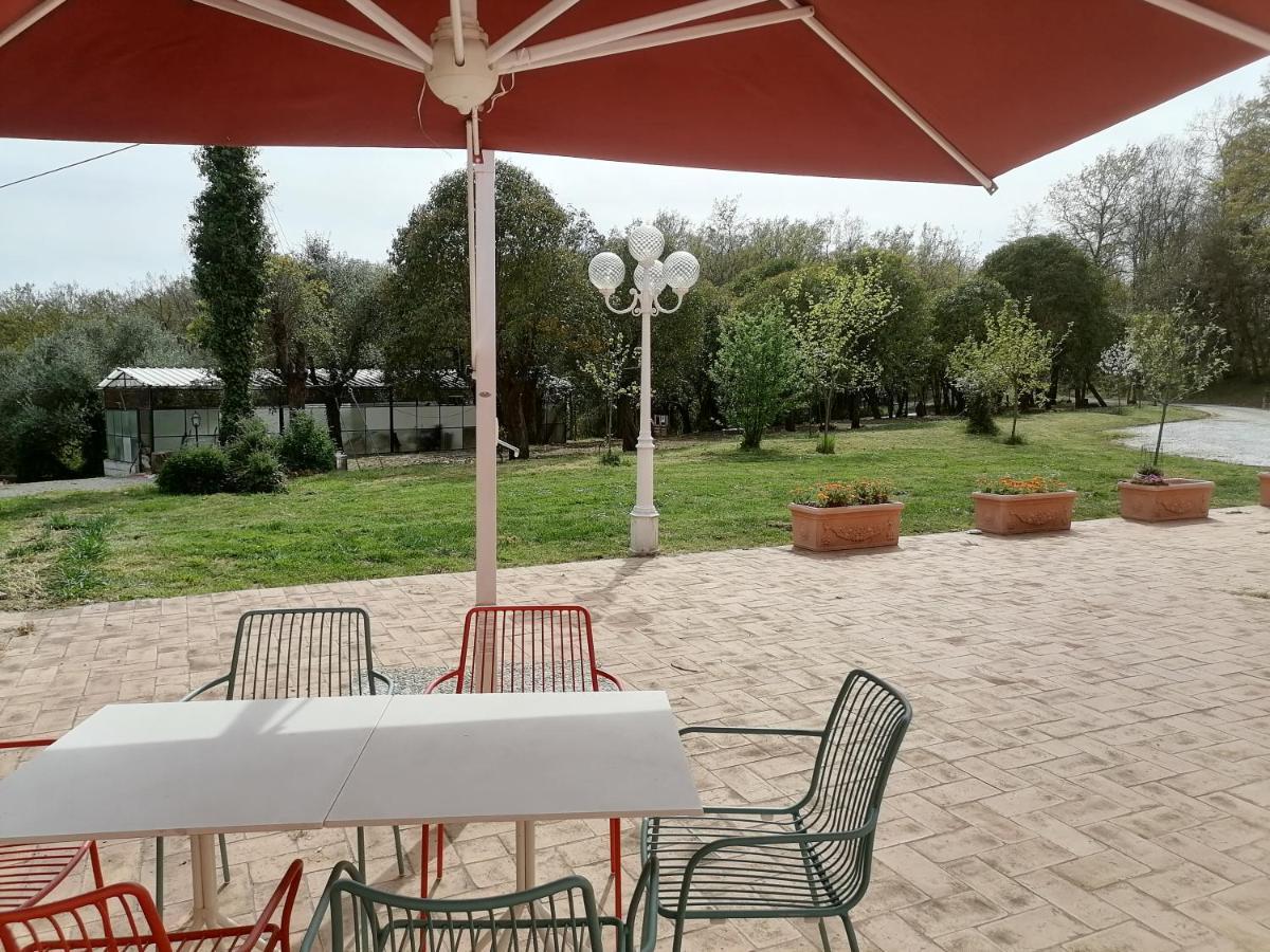 Az.Agricola Agriturismo La Locanda Di Lann Apartman Fucecchio Kültér fotó