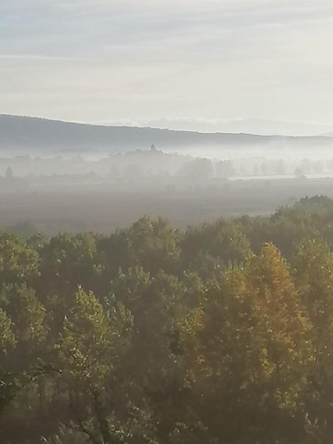 Az.Agricola Agriturismo La Locanda Di Lann Apartman Fucecchio Kültér fotó
