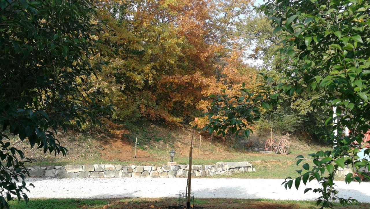 Az.Agricola Agriturismo La Locanda Di Lann Apartman Fucecchio Kültér fotó