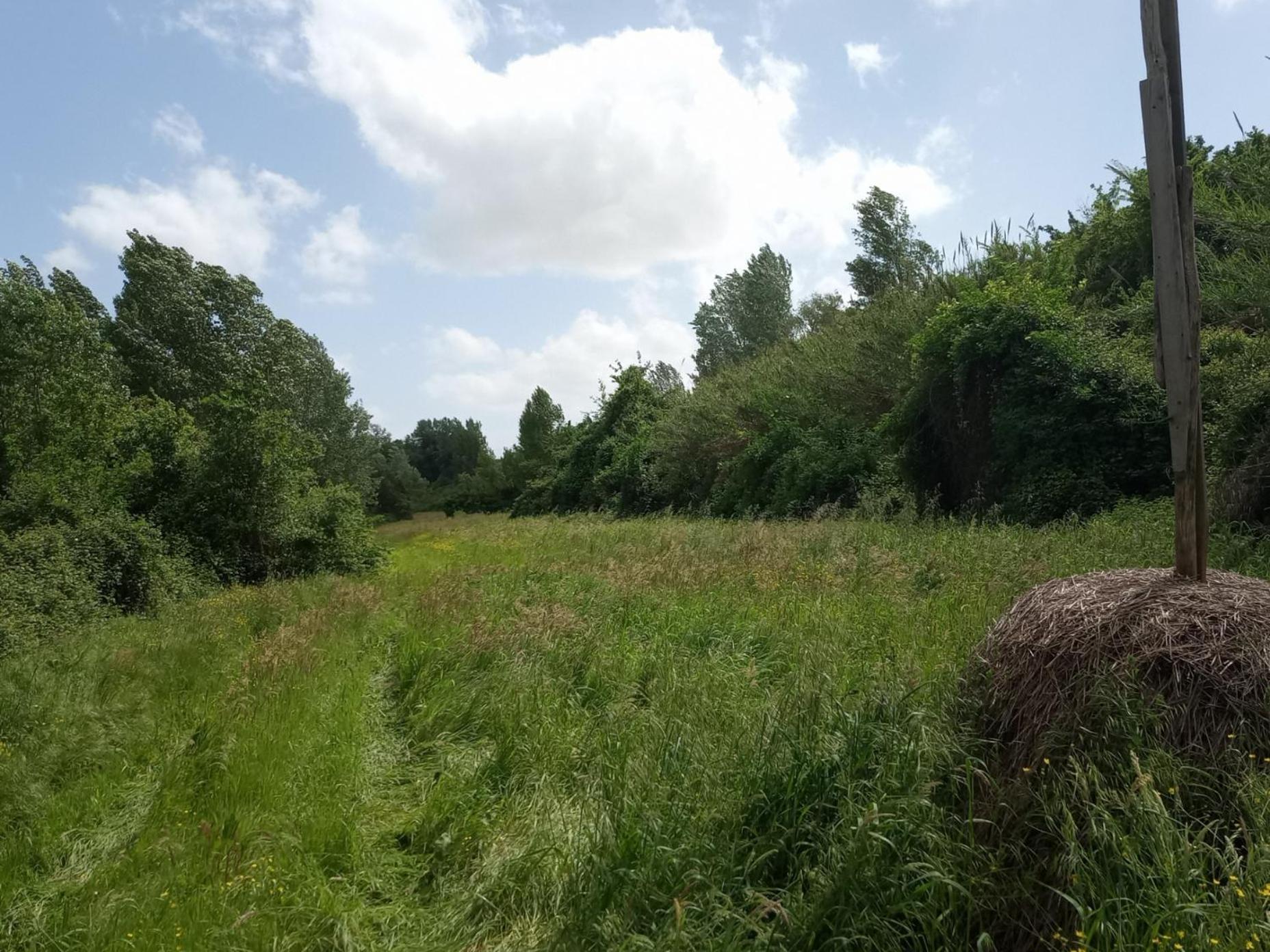Az.Agricola Agriturismo La Locanda Di Lann Apartman Fucecchio Kültér fotó